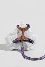 HiDREAM Bobo Reflective H-Type Leather Cat Harness & Leash Set