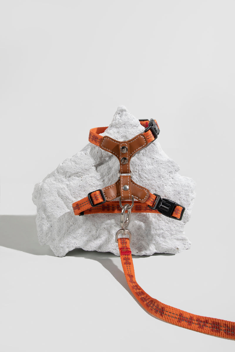 HiDREAM Bobo Reflective H-Type Leather Cat Harness & Leash Set