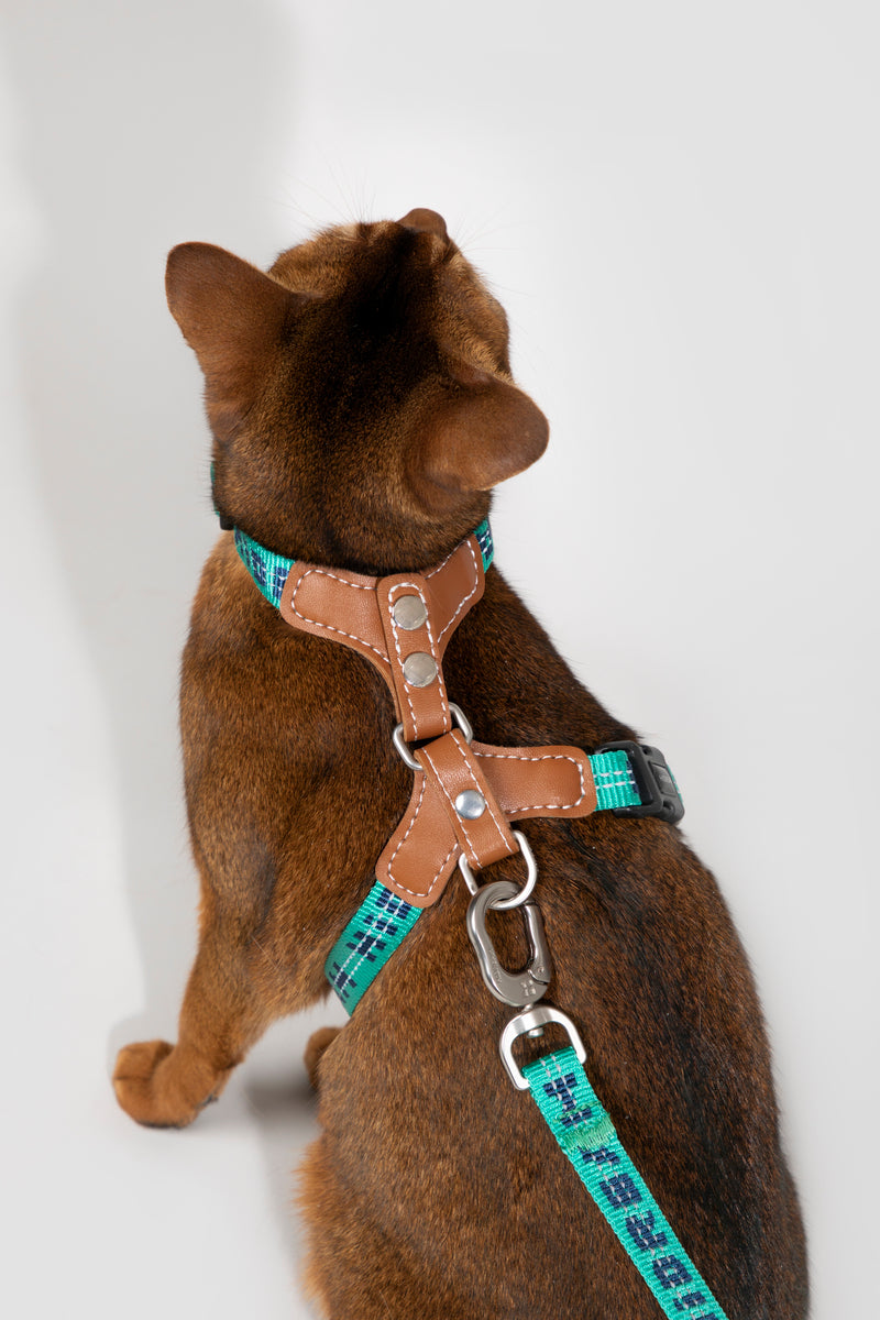 HiDREAM Bobo Reflective H-Type Leather Cat Harness & Leash Set