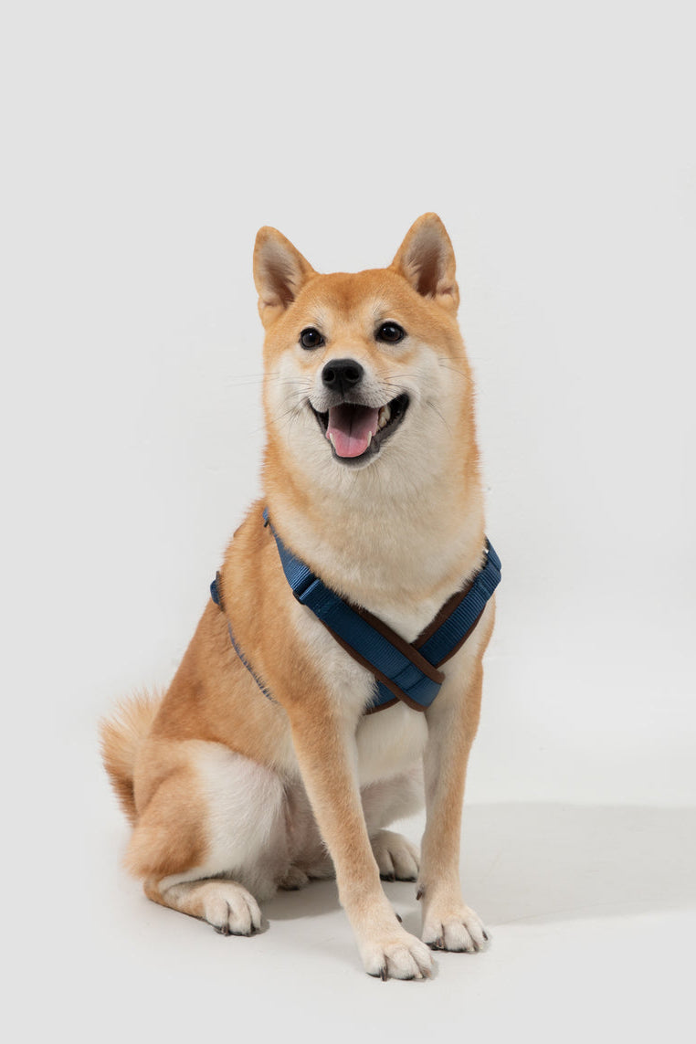 HiDREAM Bobo Adjustable X-Shape Dog Harness