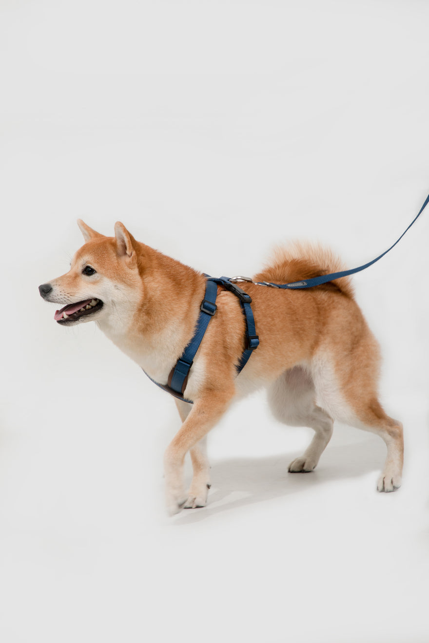 HiDREAM Bobo Adjustable X-Shape Dog Harness