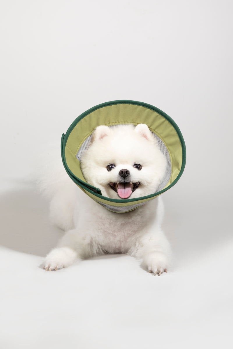 HiDREAM Breathable Mesh Dog & Cat Elizabethan Collar