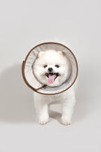 Collier Elizabethan en maille respirante HiDREAM pour chien et chat