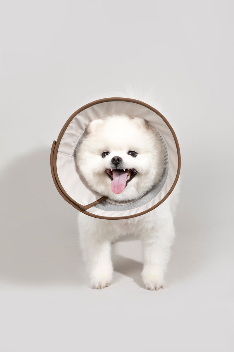 HiDREAM Breathable Mesh Dog & Cat Elizabethan Collar