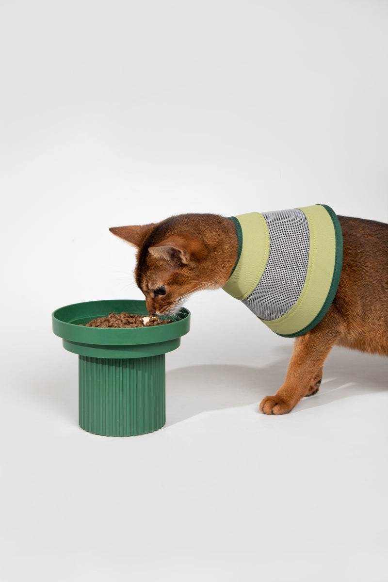 HiDREAM Breathable Mesh Dog & Cat Elizabethan Collar