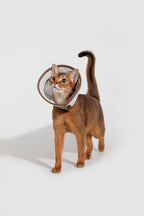 Collier Elizabethan en maille respirante HiDREAM pour chien et chat