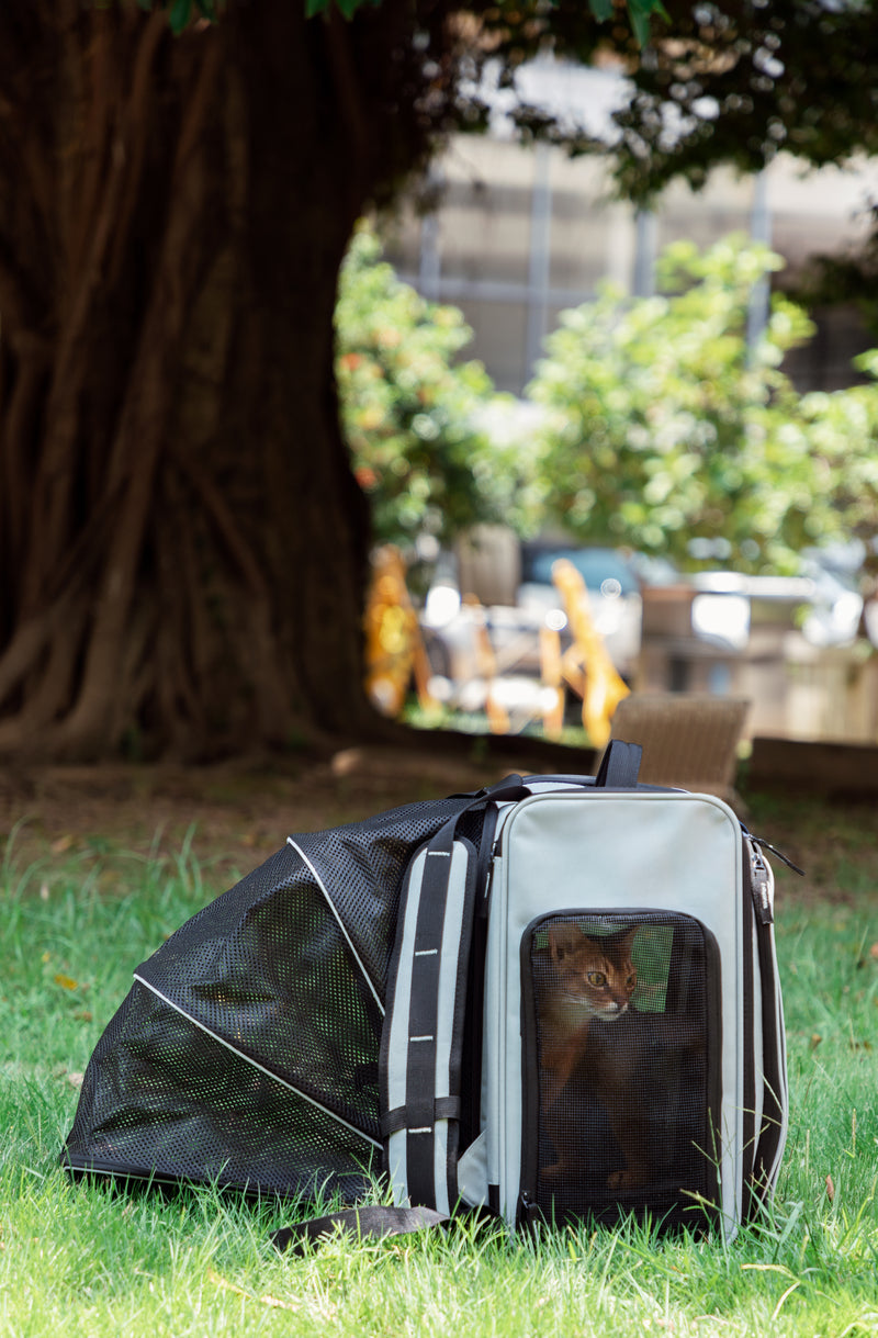 HiDREAM Bresthable Pet Travel Tent Backpack For Dogs & Cats