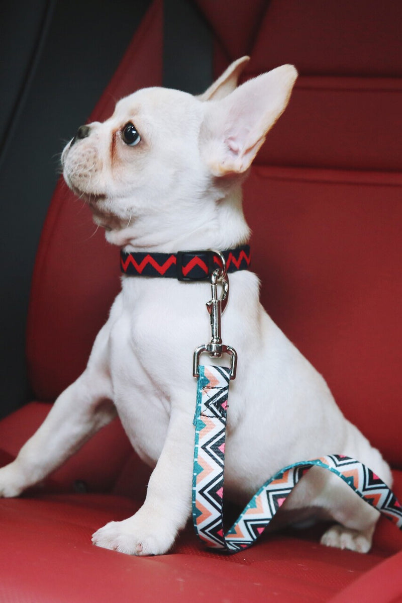 HiDREAM Colorful Adjustable Dog Car Seatbelt