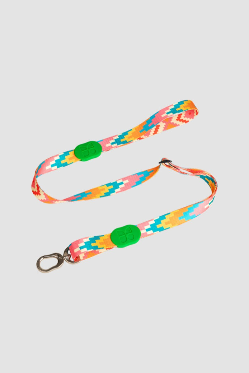 HiDREAM Colorful Adjustable Dog Leash