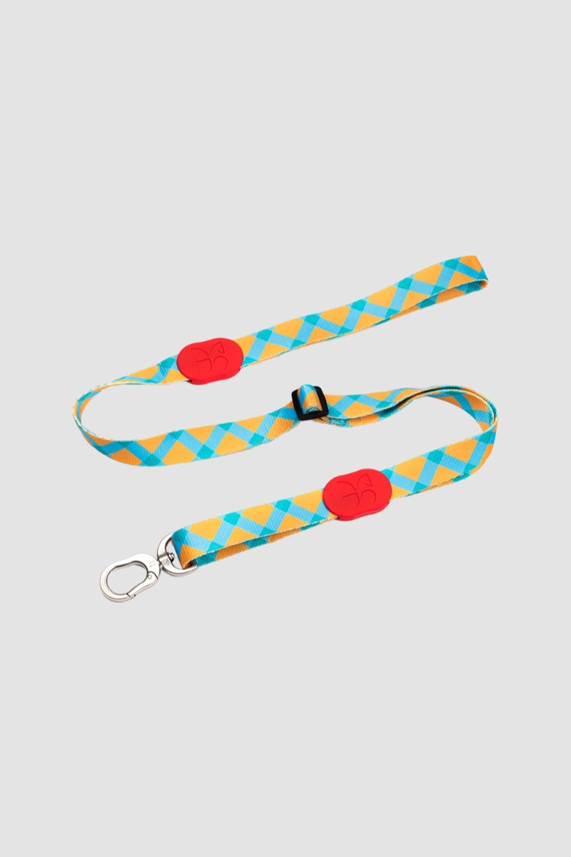 HiDREAM Colorful Adjustable Dog Leash
