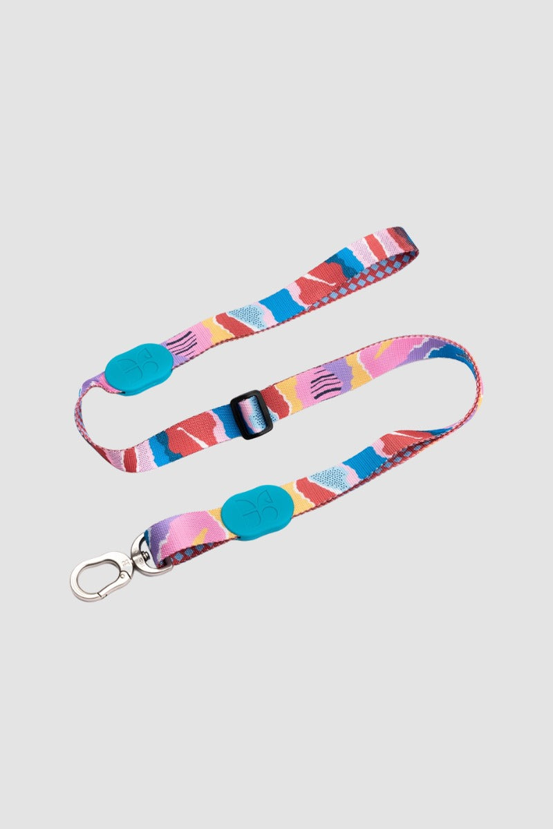 HiDREAM Colorful Adjustable Dog Leash