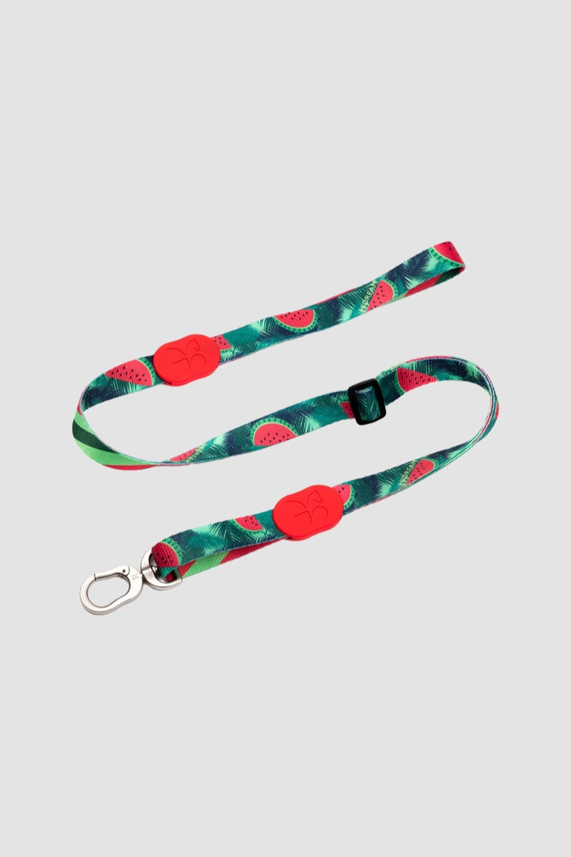 HiDREAM Colorful Adjustable Dog Leash