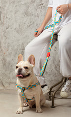 HiDREAM Colorful Adjustable Dog Leash