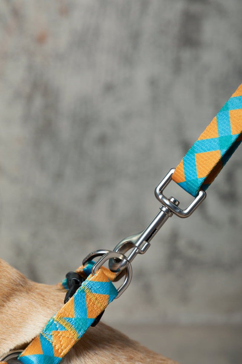 HiDREAM Colorful Adjustable Dog Leash