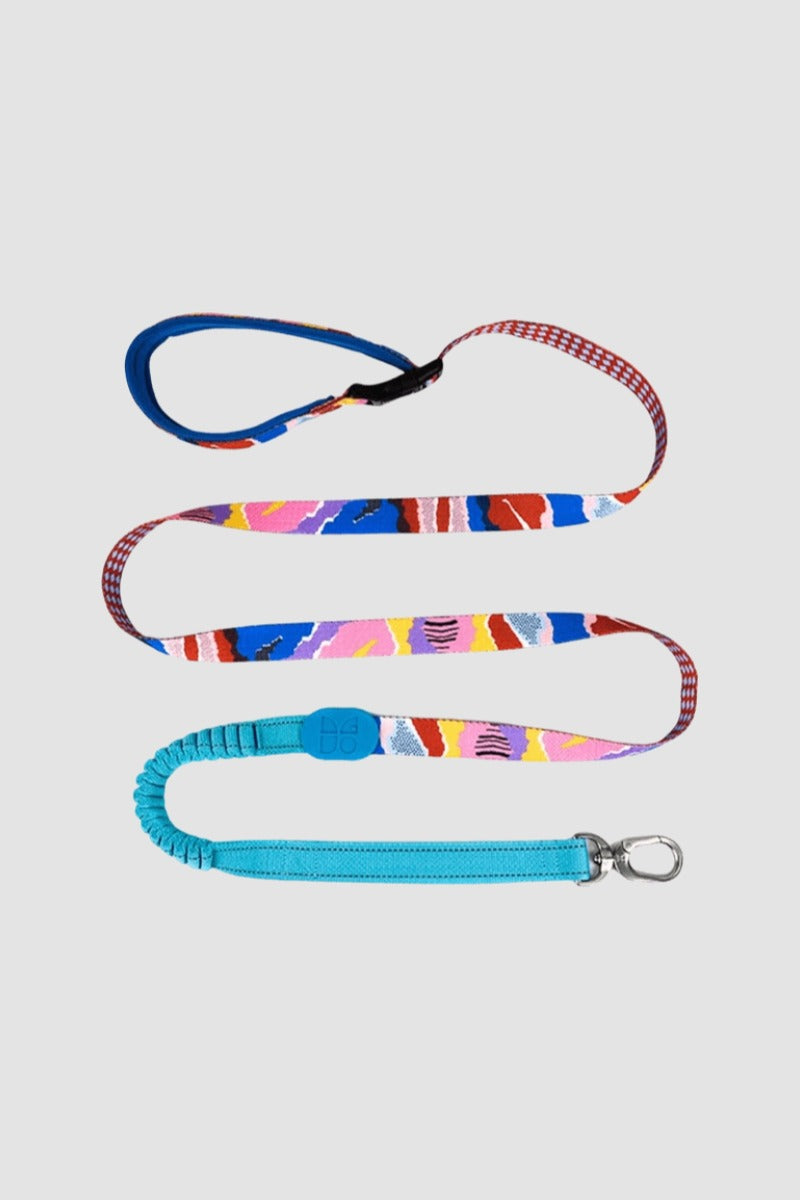 HiDREAM Bunte Pro Freihändige Bungee-Hundeleine