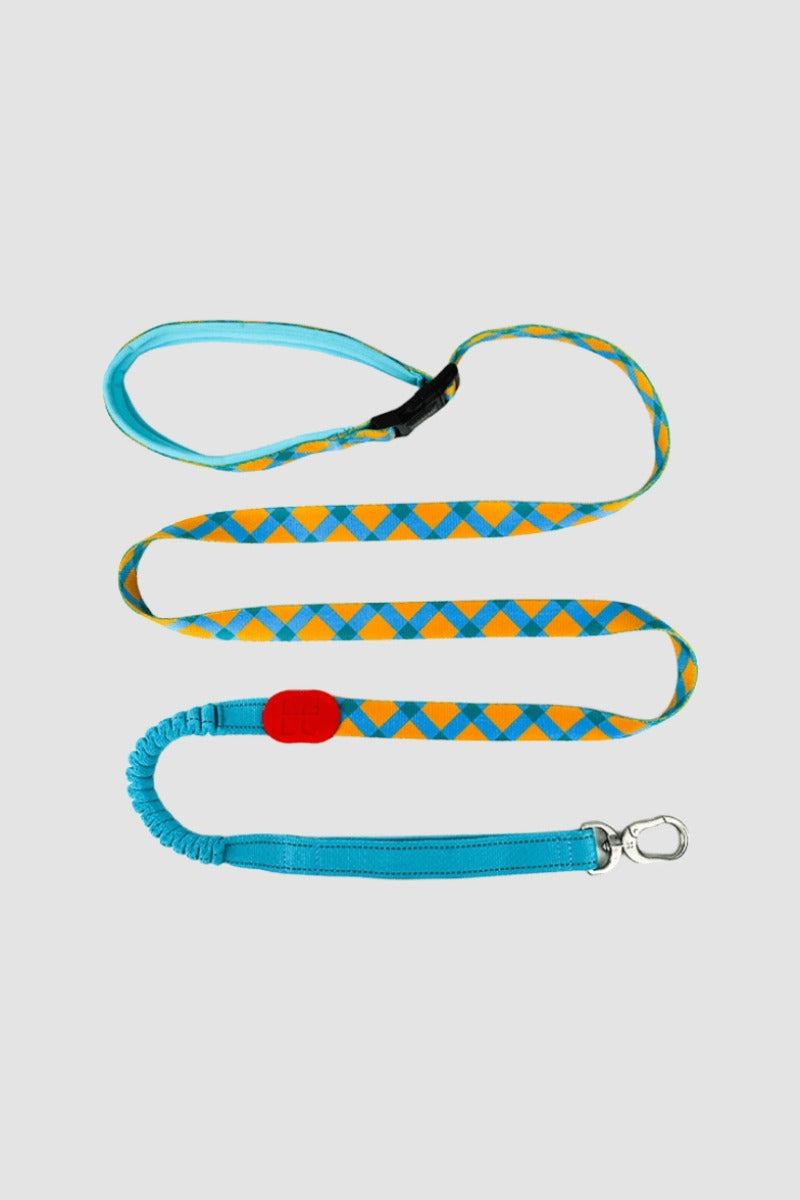 HiDREAM Bunte Pro Freihändige Bungee-Hundeleine