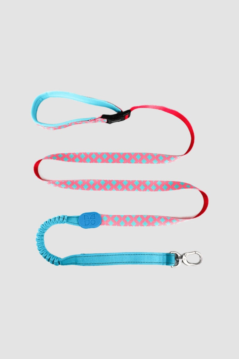 HiDREAM Bunte Pro Freihändige Bungee-Hundeleine