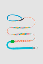 HiDREAM Colorful Pro Hands-Free Bungee Dog Leash