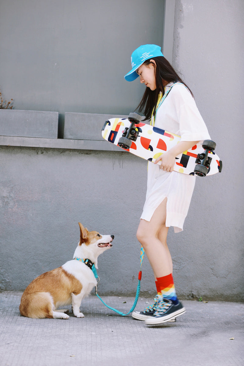 HiDREAM Bunte Pro Freihändige Bungee-Hundeleine