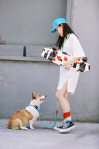 HiDREAM Colorful Pro Hands-Free Bungee Dog Leash