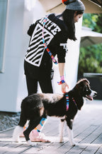 HiDREAM Colorful Pro Hands-Free Bungee Dog Leash