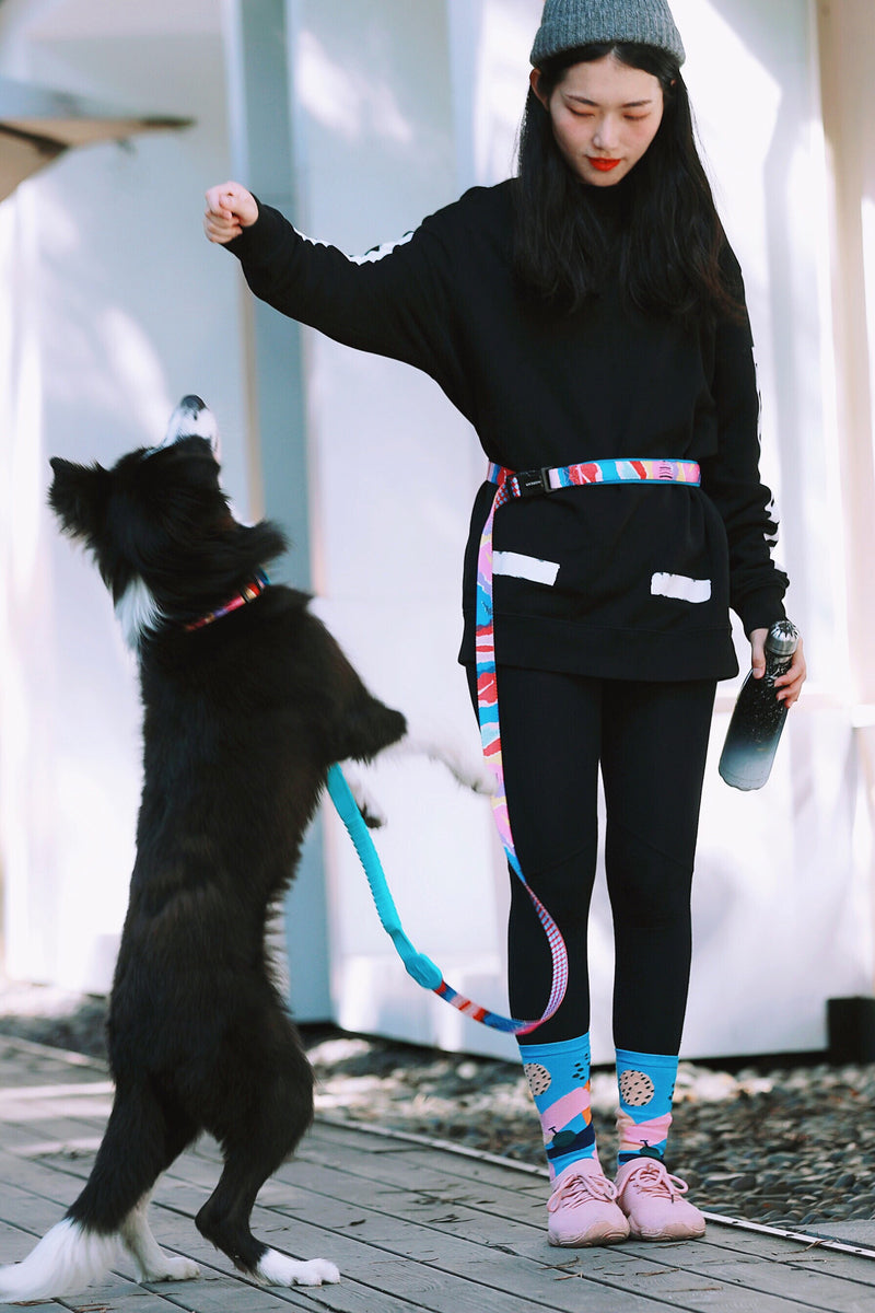 HiDREAM Bunte Pro Freihändige Bungee-Hundeleine