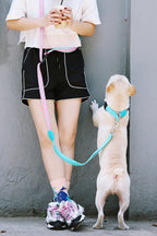 HiDREAM Colorful Pro Hands-Free Bungee Dog Leash