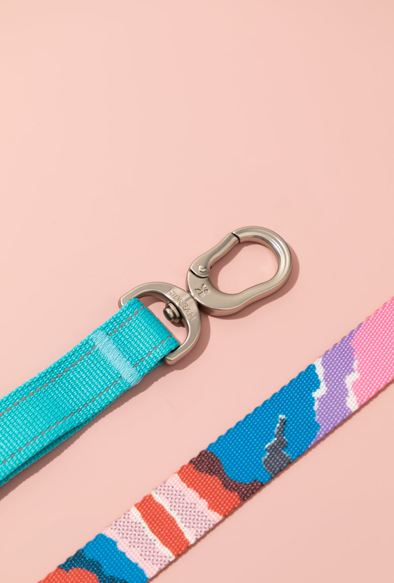 HiDREAM Bunte Pro Freihändige Bungee-Hundeleine