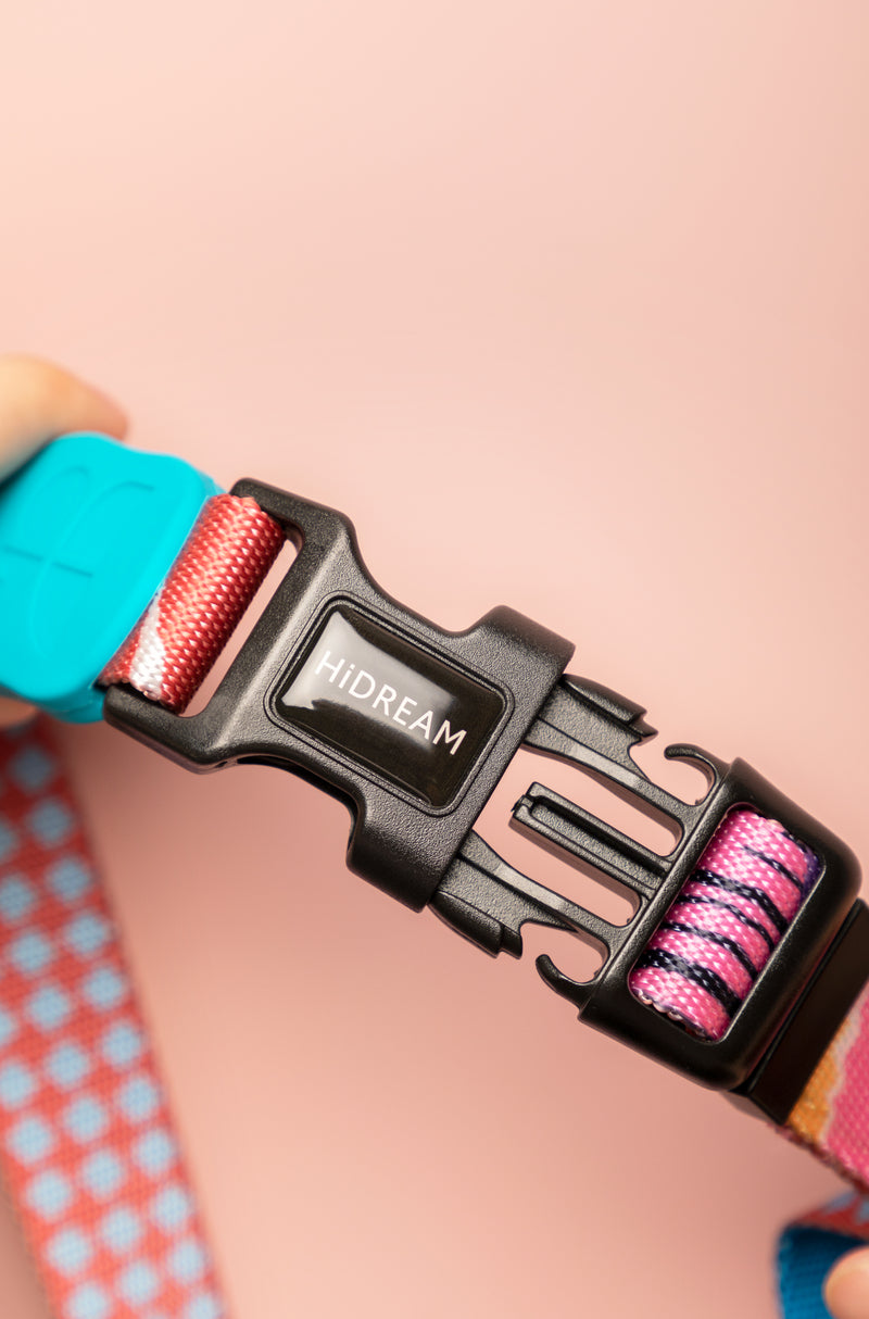 HiDREAM Bunte Pro Freihändige Bungee-Hundeleine