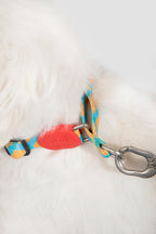 HiDREAM Colorful Pro No-Pull Small Dog Collar