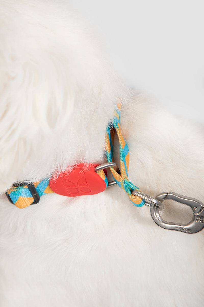 HiDREAM Colorful Pro No-Pull Small Dog Collar