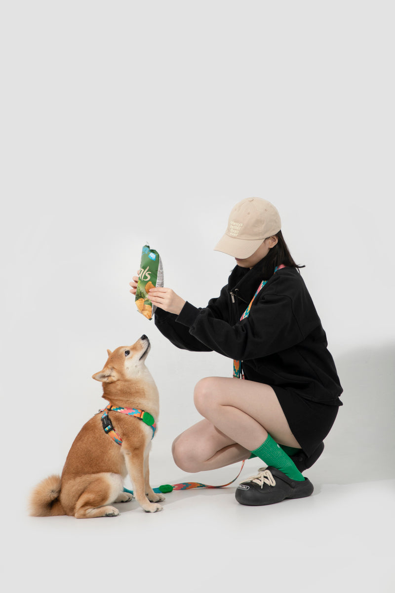HiDREAM Colorful Pro X-Shape Dog Harness