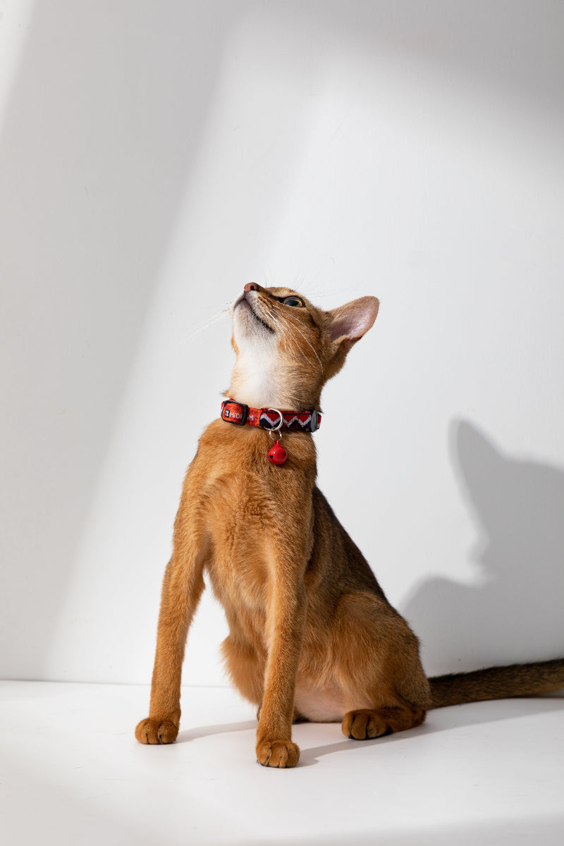 HiDREAM Colorful Soft Breakaway Cat Collar with Bell