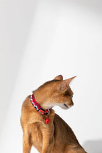 HiDREAM Colorful Soft Breakaway Cat Collar with Bell