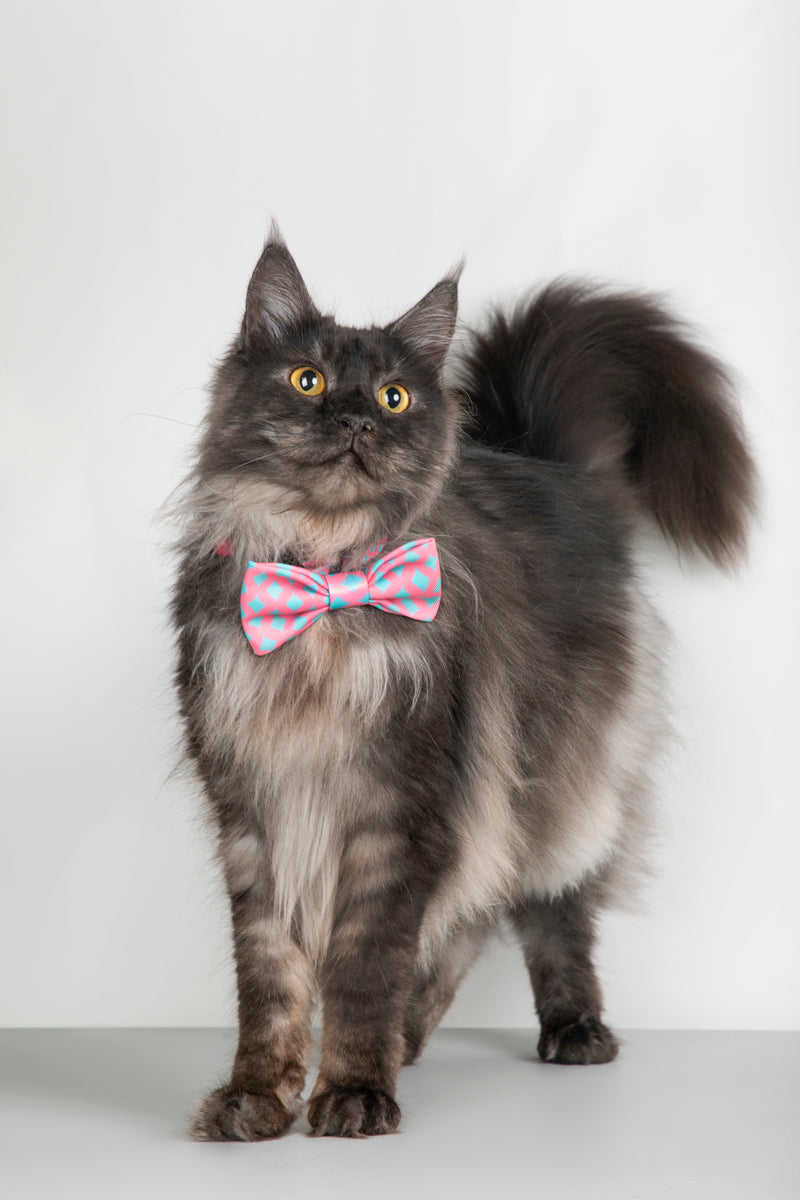 HiDREAM Colorful Soft Dog & Cat Bow Tie