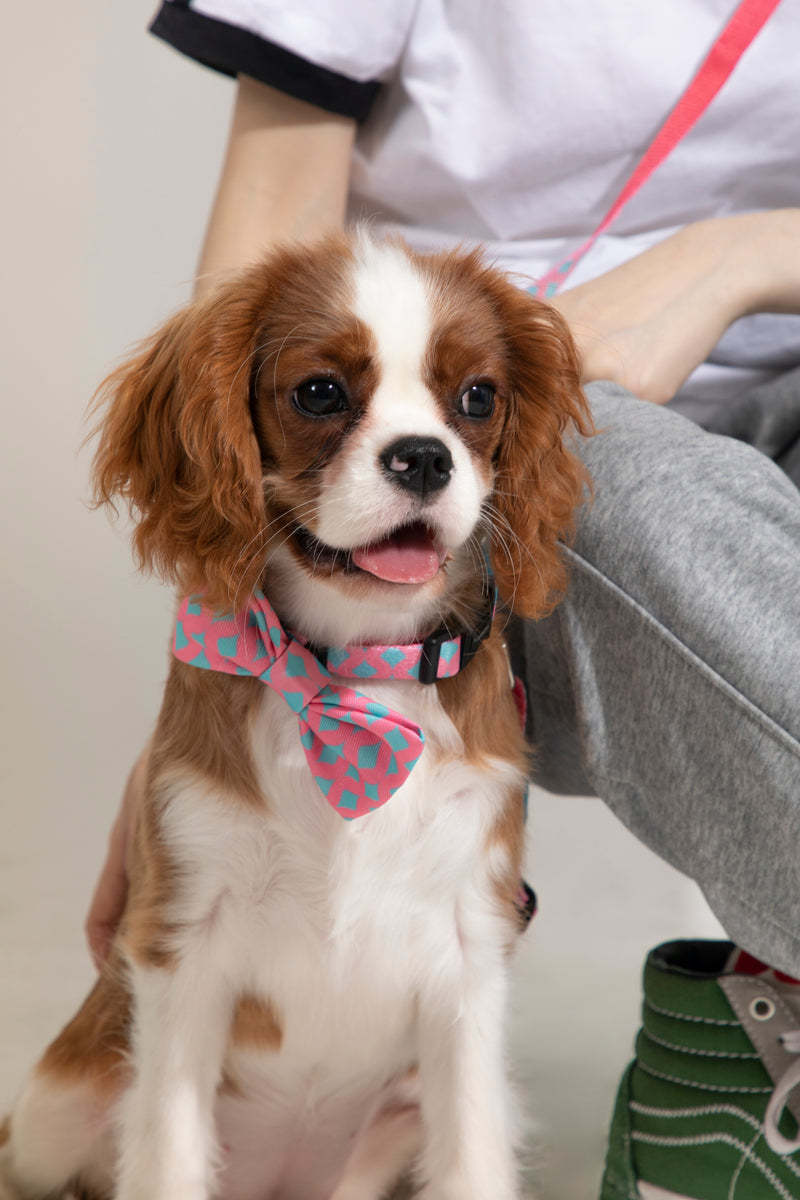 HiDREAM Colorful Soft Dog & Cat Bow Tie