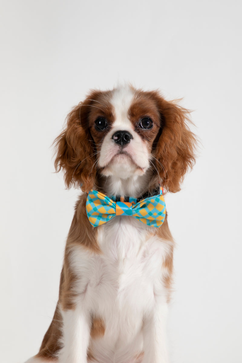 HiDREAM Colorful Soft Dog & Cat Bow Tie
