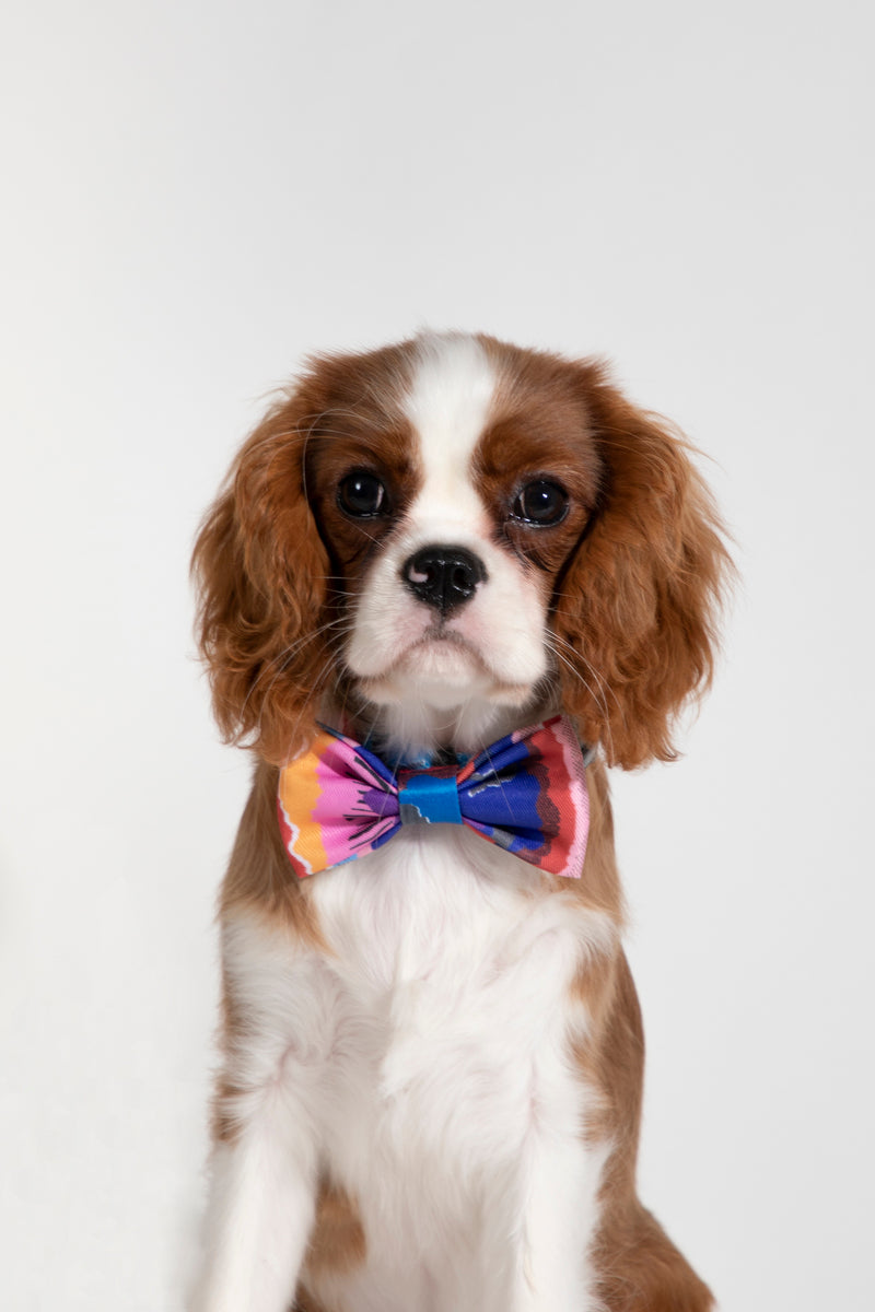 HiDREAM Colorful Soft Dog & Cat Bow Tie