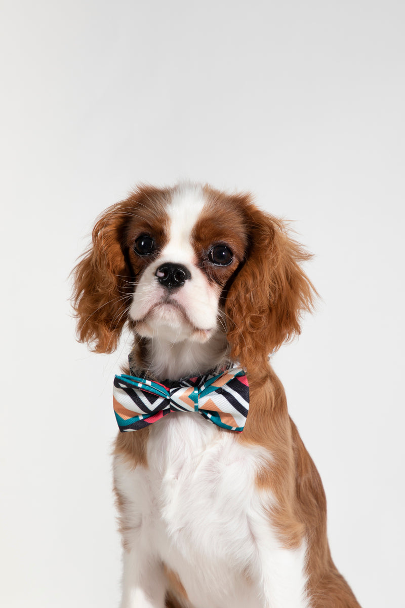 HiDREAM Colorful Soft Dog & Cat Bow Tie