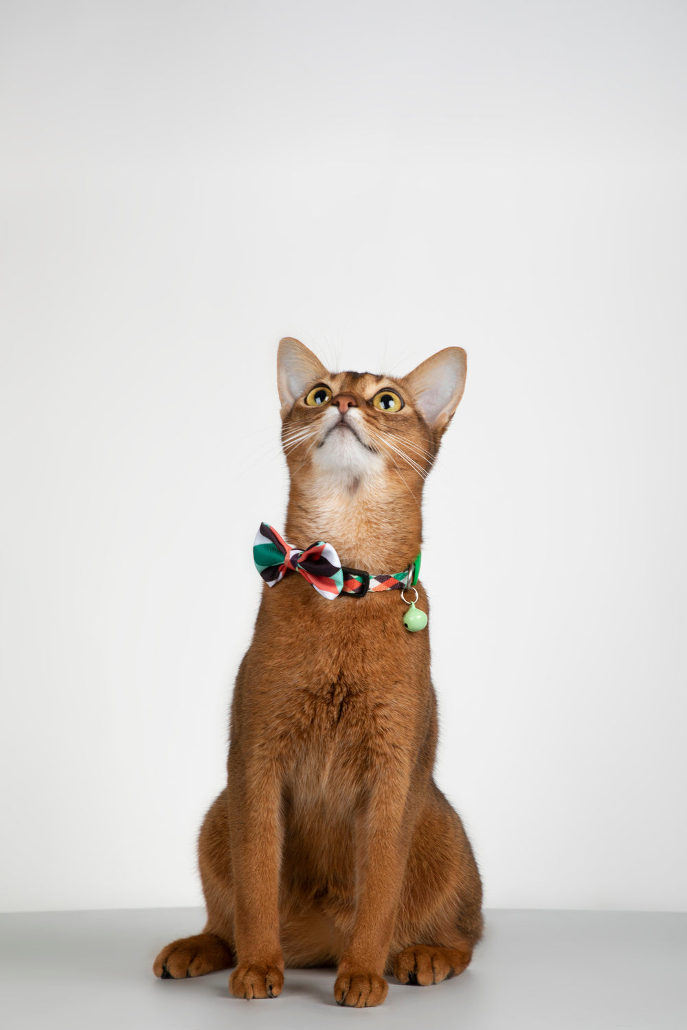 HiDREAM Colorful Soft Dog & Cat Bow Tie