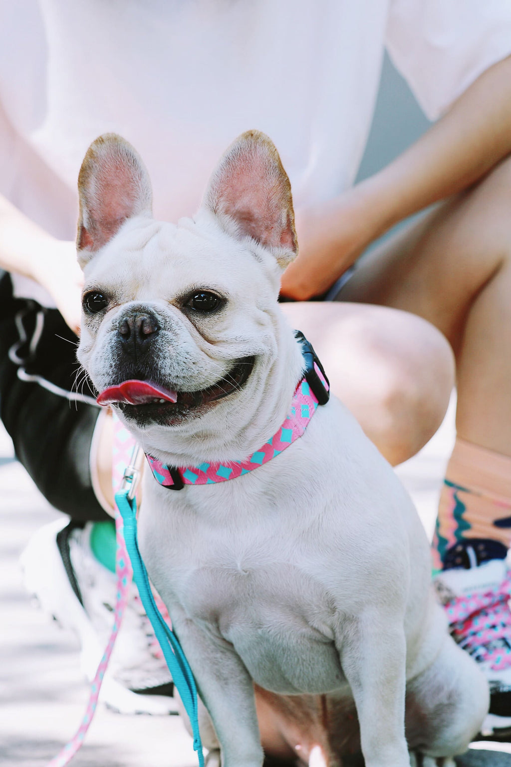 HiDREAM Colorful Soft & Durable Dog Collar