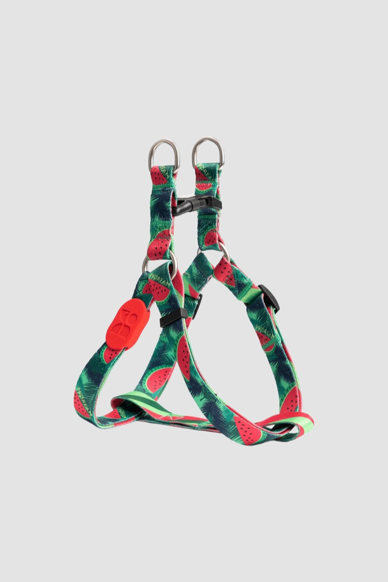 HiDREAM 다채로운 Y자형 강아지 하네스