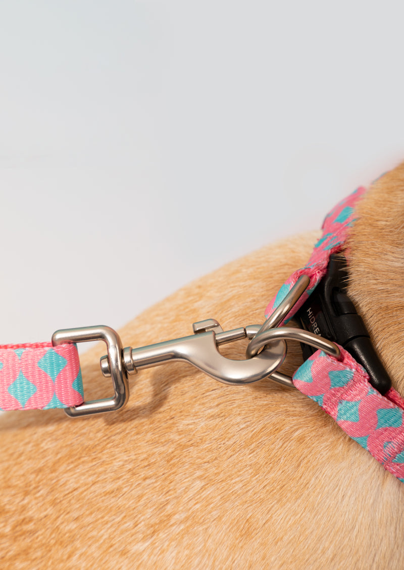 HiDREAM 다채로운 Y자형 강아지 하네스