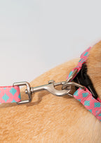 HiDREAM Colorful Y-Shape Dog Harness
