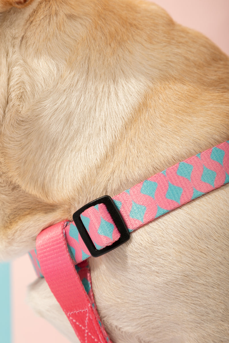 HiDREAM 다채로운 Y자형 강아지 하네스