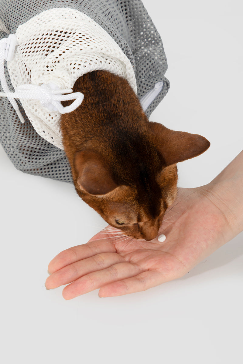 HiDREAM Borsa per la Pulizia e la Cura Staccabile Antigraffio