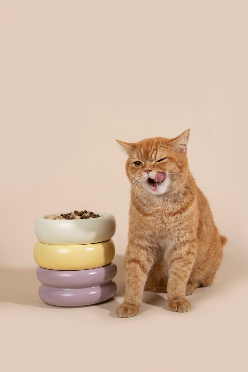HiDREAM Donut Ceramic Dog & Cat Bowl 350ml