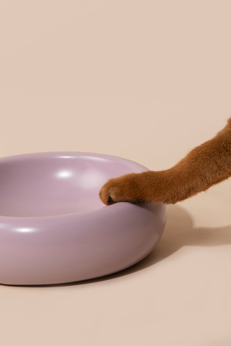 HiDREAM Donut Ceramic Dog & Cat Bowl 350ml
