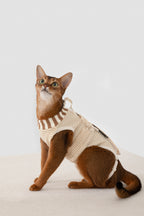 HiDREAM Combinaison de Récupération Anti-Évasion pour Chat