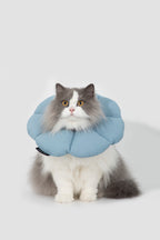 HiDREAM Floral Dog & Cat Elizabethan Collar